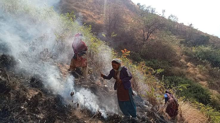 बद्रीनाथ हाईवे के पास लगी आग, फायर सीजन शुरू होने से पहले नंदा देवी पार्क प्रशासन ने की मॉकड्रिल